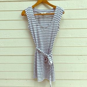 Express Striped Dress (fitted)